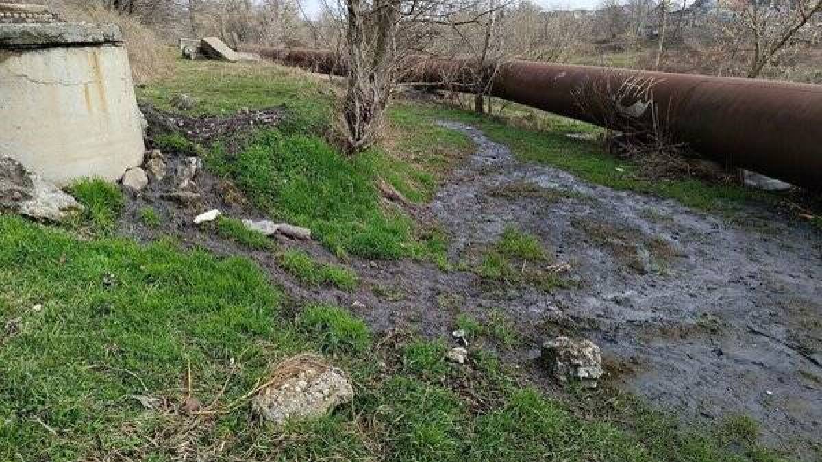 У Запоріжжі підприємство зливало нечистоти в зелену зону