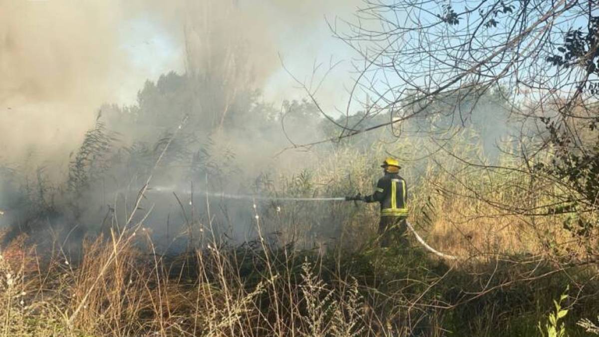 За минулу добу на території області рятувальники ліквідували 23 пожежі в екосистемах, з них 1 лісова