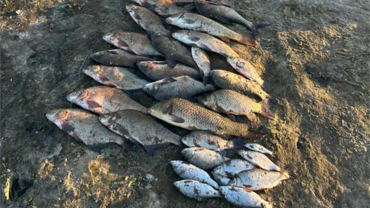 На Запоріжжі чоловік «нарибалив» на штраф у 55 тисяч гривень (фото)