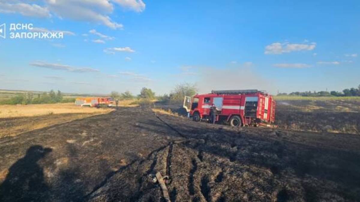 За минулу добу на території області рятувальники ліквідували 22 пожежі в екосистемах