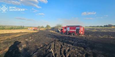 За минулу добу на території області рятувальники ліквідували 22 пожежі в екосистемах