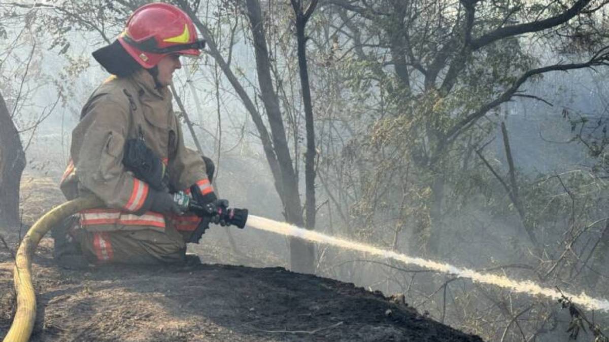 Запорізькі рятувальники ліквідували масштабне займання сухої рослинності