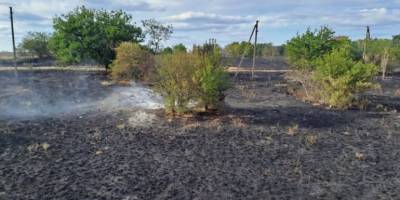 За минулу добу на території області рятувальники ліквідували 22 пожежі в екосистемах