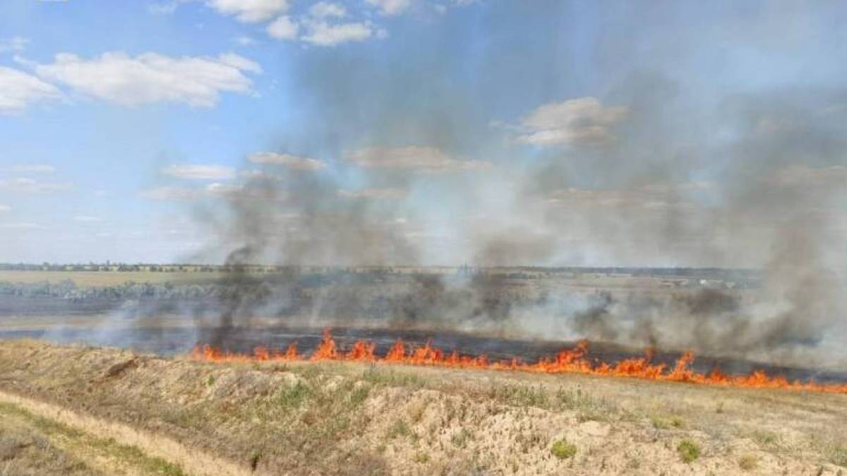 За 17 днів серпня запорізькі рятувальники ліквідували 287 пожеж на відкритих територіях