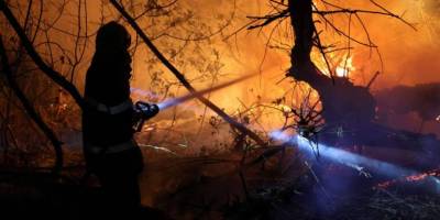 Запоріжжя: рятувальники ліквідовують масштабну пожежу на острові Хортиця
