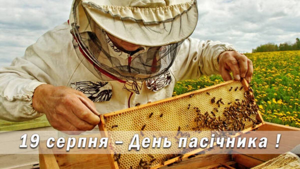 19 серпня – День пасічника України