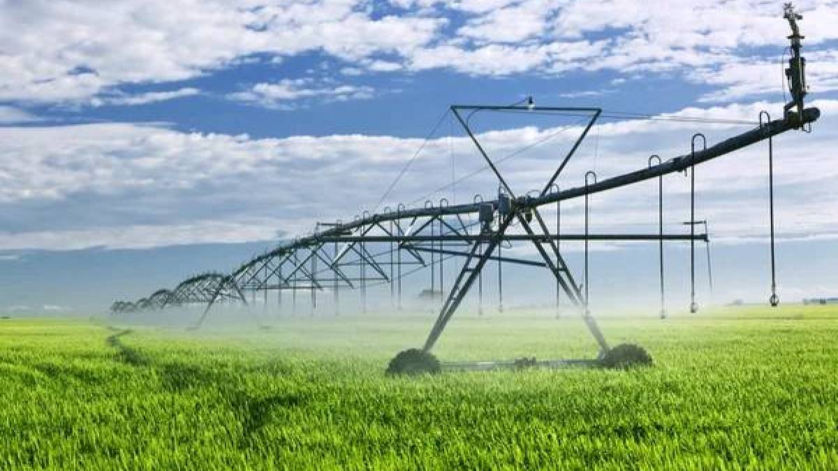 Уряд розширив підтримку аграріїв у прифронтових регіонах