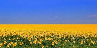 Що у бібліотеках Запоріжжя в неділю, 24 серпня?