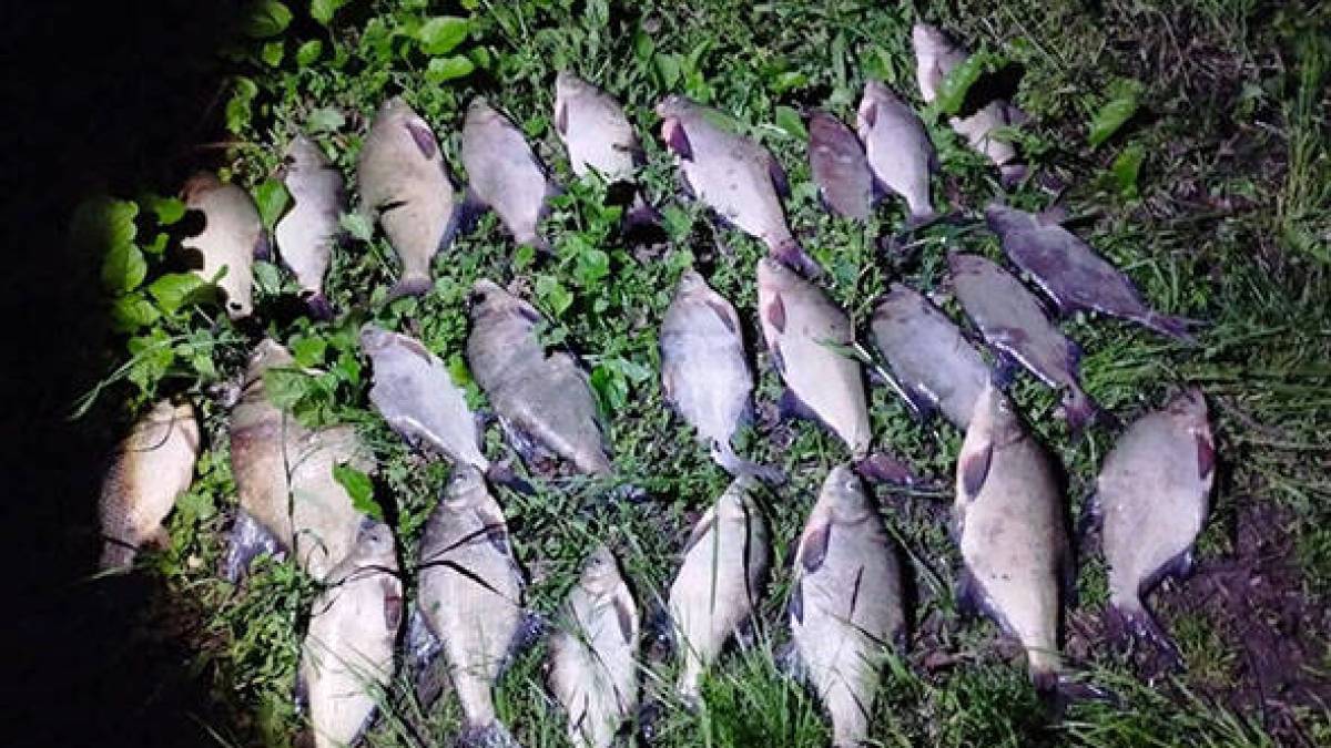 На Запоріжжі лише протягом тижня з водойм вилучено 38 заборонених знарядь лову