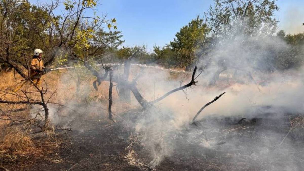 Запорізькі рятувальники локалізували масштабну пожежу на острові Хортиця (відео)