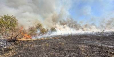 В Запоріжжі рятувальники локалізували пожежу на острові Хортиця
