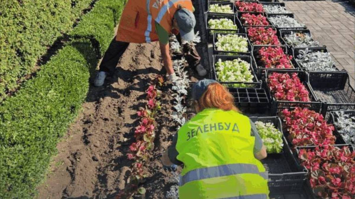 До Дня Незалежності у спальному районі Запоріжжя висадять три тисячі квітів