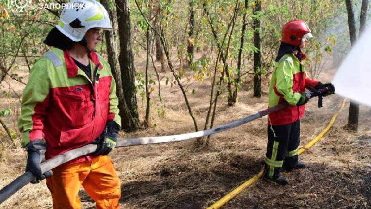 За минулу добу на території області рятувальники ліквідували 35 пожеж в екосистемах