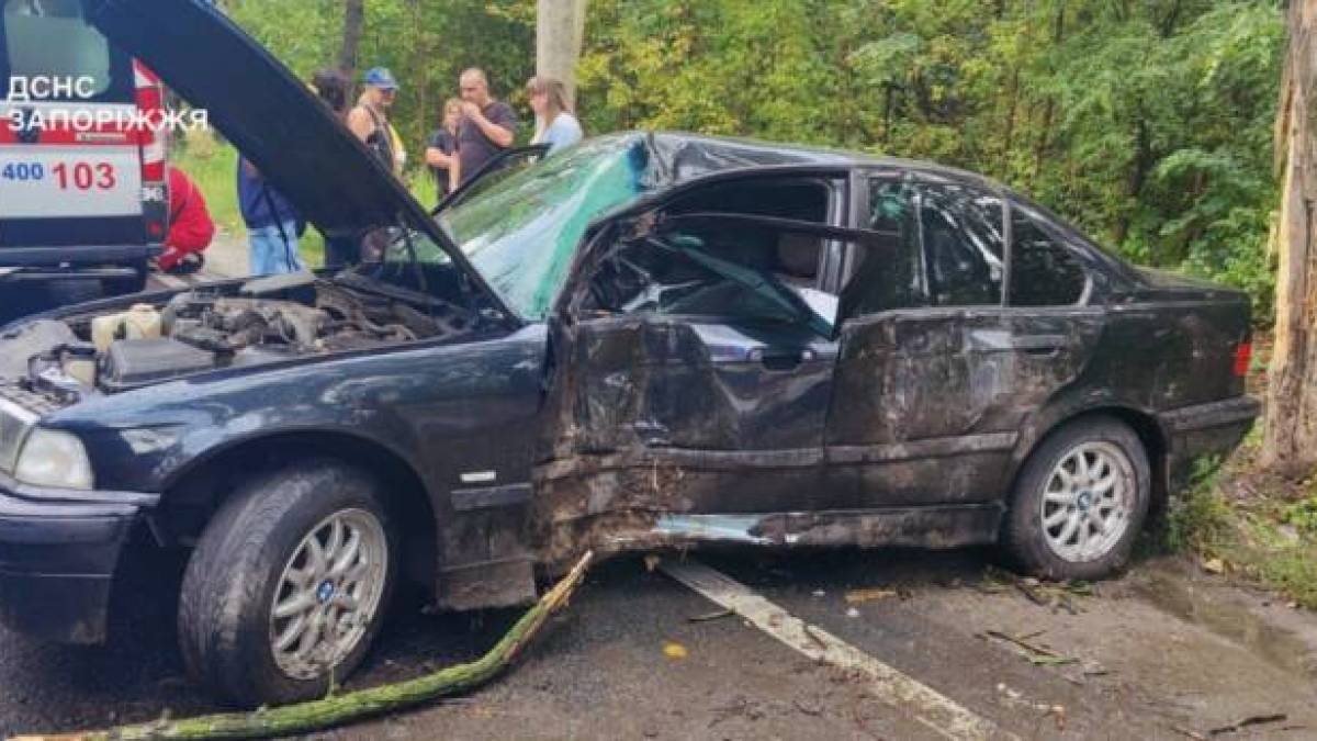 У Запоріжжі «BMW» влетів у дерево, є травмовані (фото)