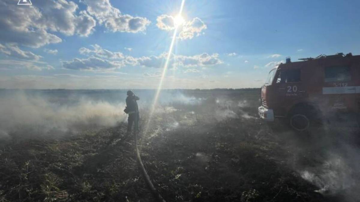 ДСНС Запорізької області: ліквідація наслідків ворожих обстрілів 24 серпня