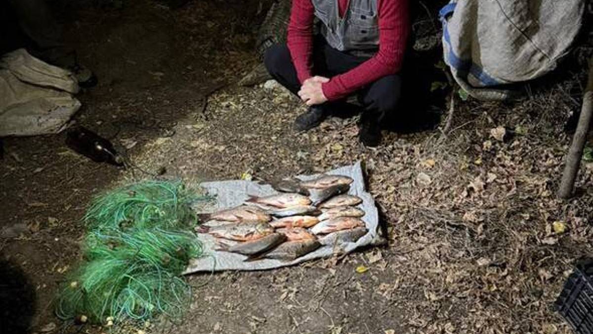 На Дніпровському водосховищі затримали бракон’єра