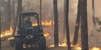Запорізькі вогнеборці ліквідують масштабну лісову пожежу