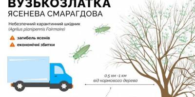 Запоріжців попередили про можливість поширення небезпечного шкідника