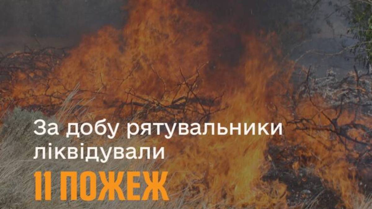 За минулу добу на території області рятувальники ліквідували 11 пожеж в екосистемах