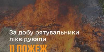 За минулу добу на території області рятувальники ліквідували 11 пожеж в екосистемах