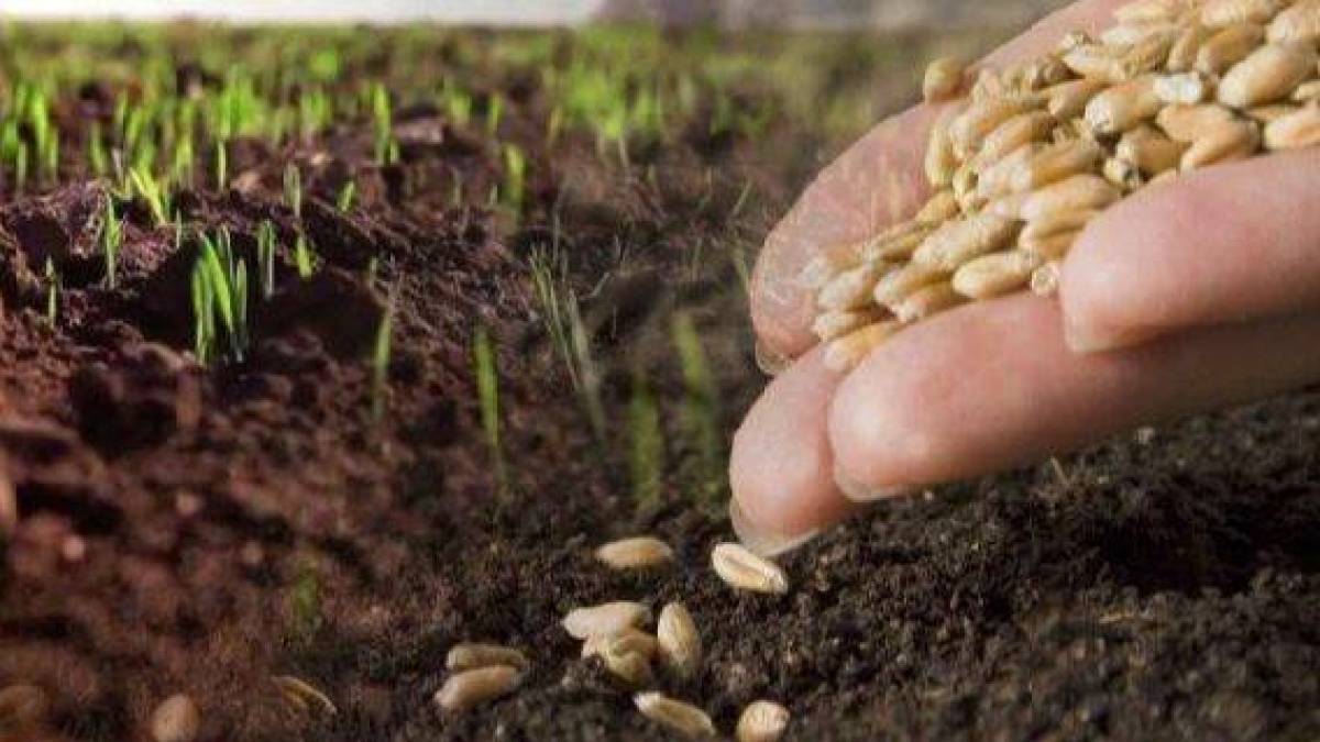 Оптимізація грантів і нові дотації для запорізьких аграріїв