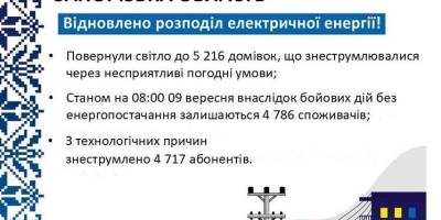Негода залишила без світла загалом 9 933 родини у 30 населених пунктах регіону