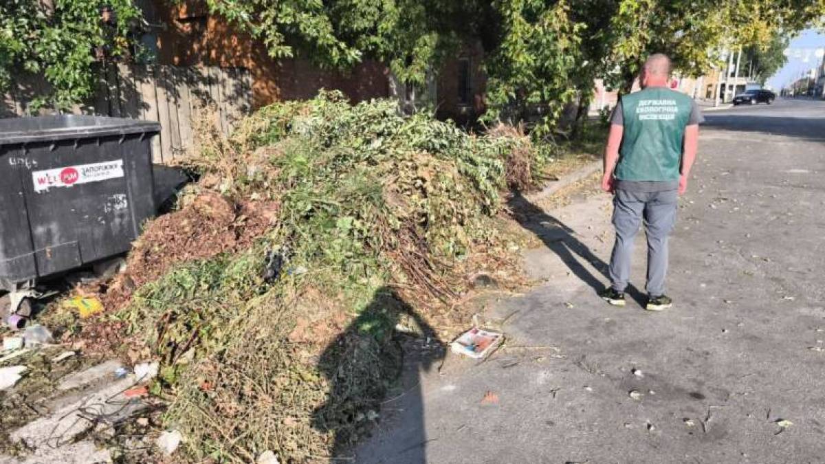 Виявлено несанкціоноване сміттєзвалище в Олександрівському районі Запоріжжя