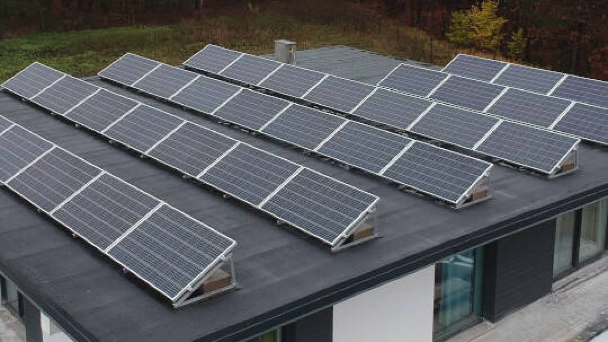 Запоріжанки, для вас: безкоштовний навчальний курс для жінок