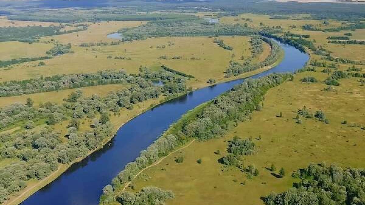 Сьогодні Україну  вдень прогріє до +25°, у більшості областей  пройдуть дощі