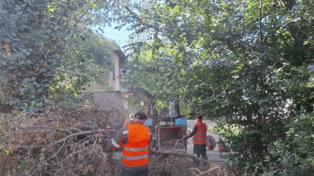 У Дніпровському районі вивозять купи обрізанного гілля