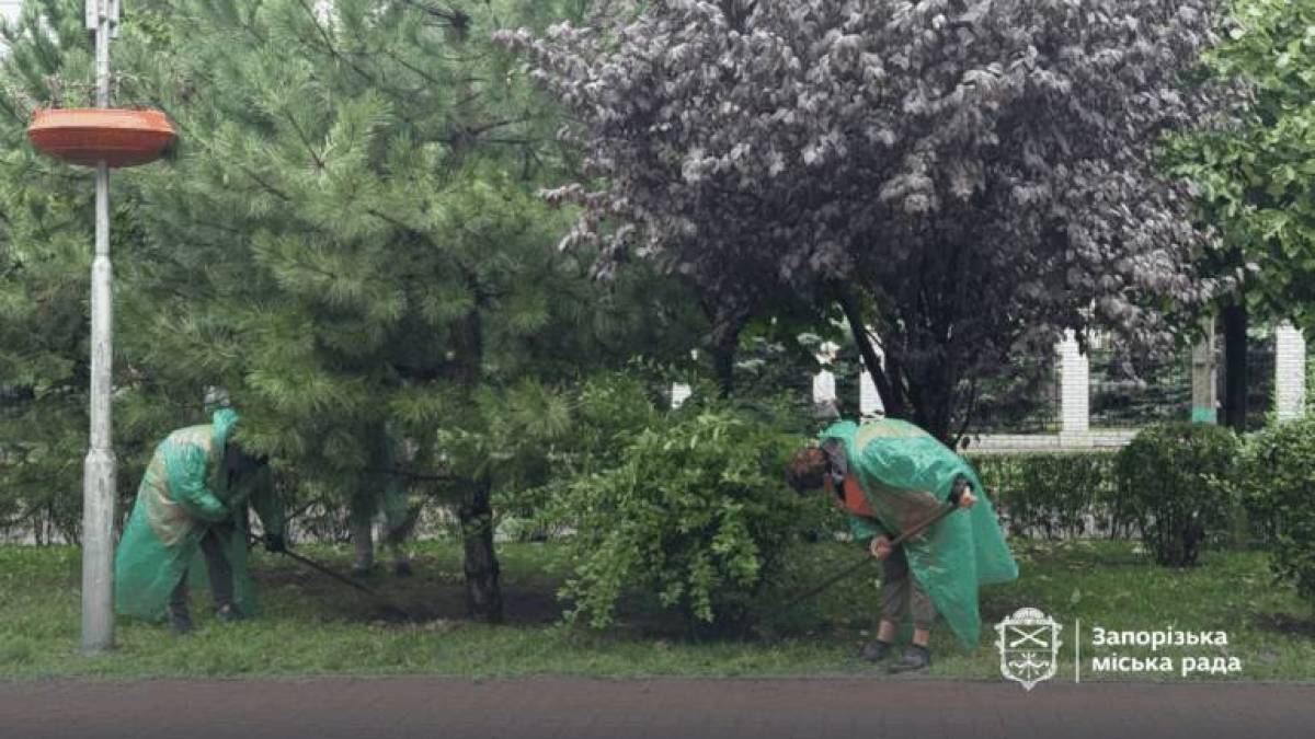 У Запоріжжі популярна зона відпочинку потерпає від вандалів