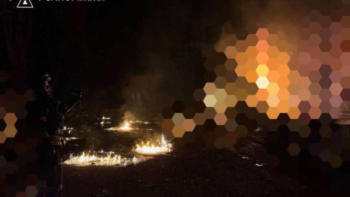Внаслідок нічного удару у Шевченківському районі Запоріжжя пошкоджені будинки