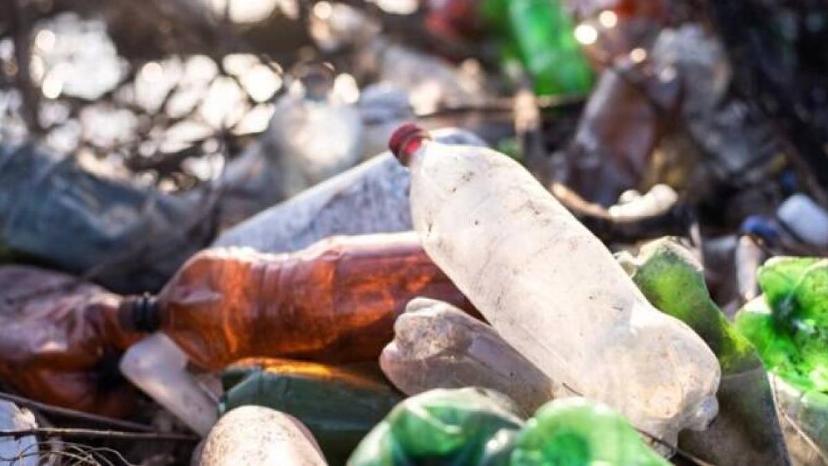 Стихійне сміттєзвалище – у центрі Запоріжжя