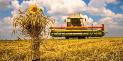 В Україні аграрії завершили збирання пшениці, ячменю і гороху