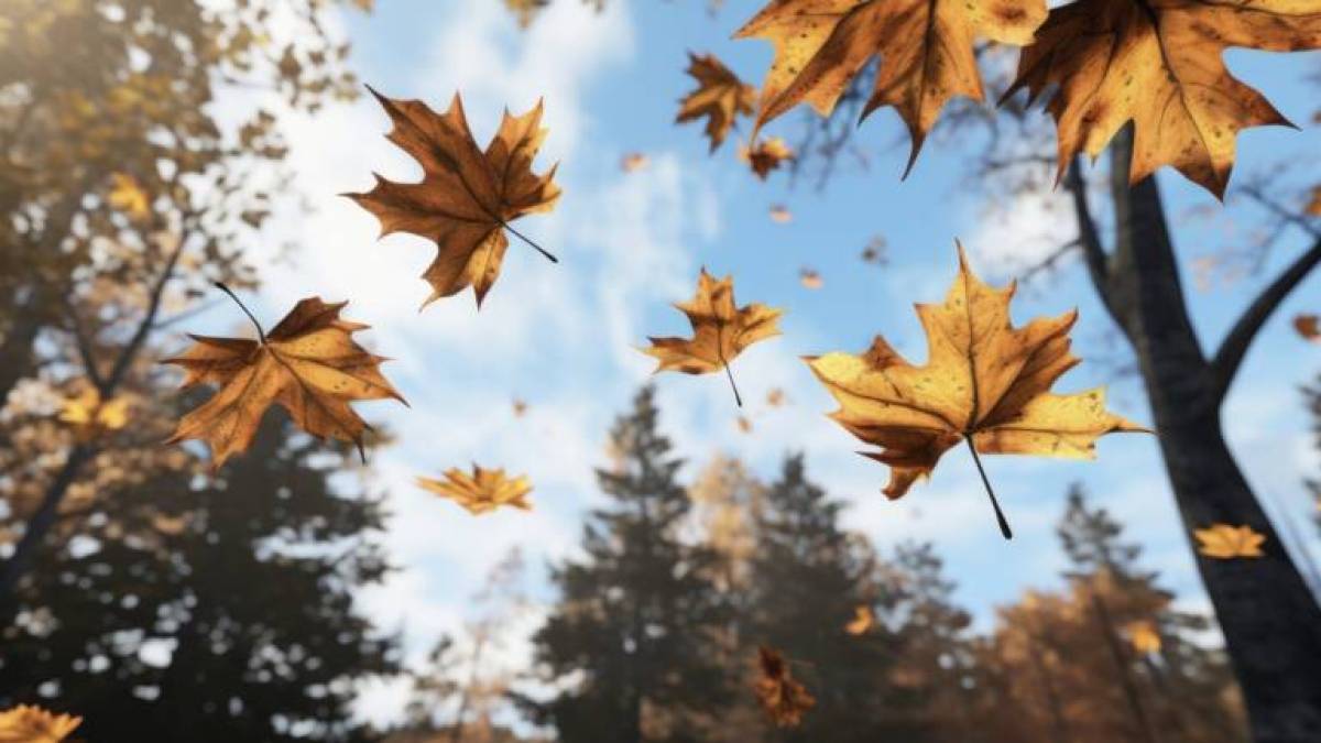 Сьогодні в Україні переважно без опадів, вдень до +18°