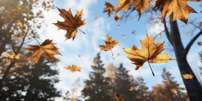 Сьогодні в Україні переважно без опадів, вдень до +18°