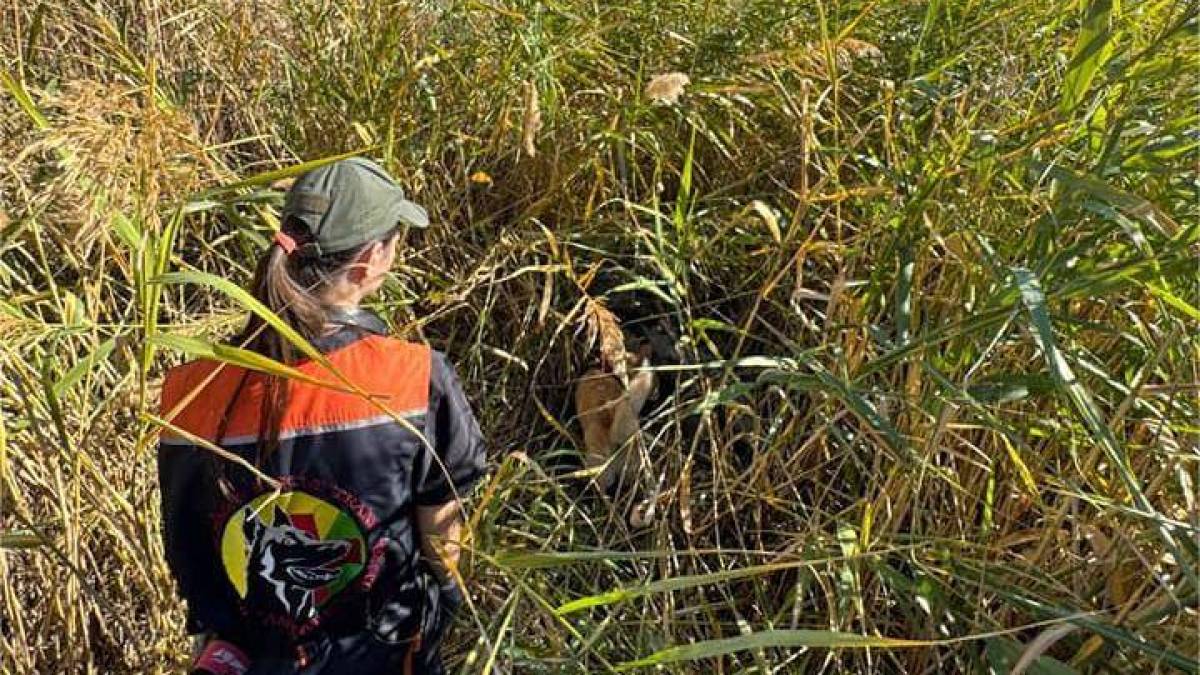 У Запорізькій області п’ять днів тривали пошуки зниклого чоловіка