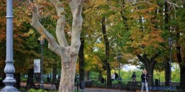 В Україні у вівторок — без опадів, місцями заморозки