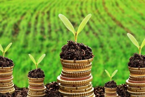 Нові правила сплати за землю: як уникнути переплати