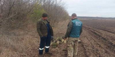 У Новомиколаївській громаді виявлено незаконну вирубку дерев