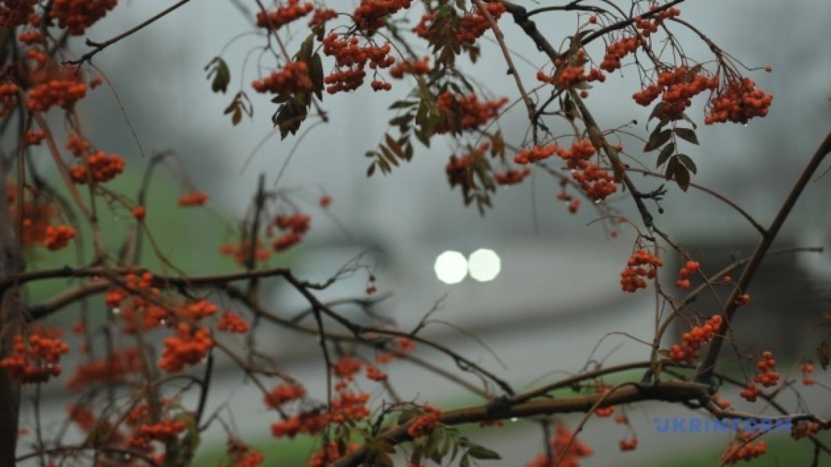 Тиждень в Україні почнеться з невеликих дощів і туманів