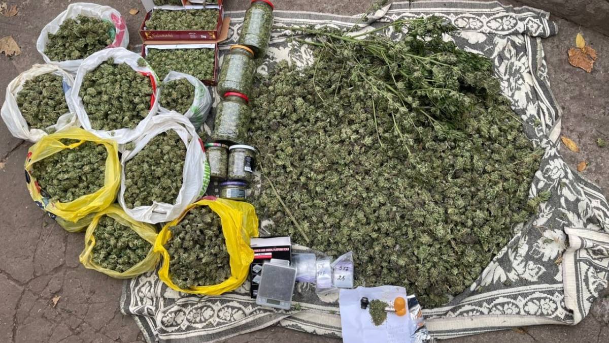 У Запоріжжі у пенсіонера вилучили канабіс на понад 6 млн гривень (фото)