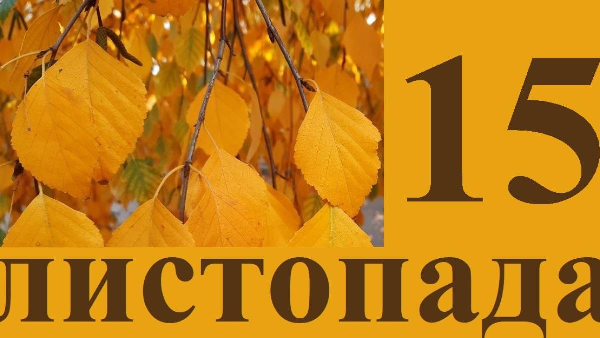 15 листопада в історії Запоріжжя: три світові рекорди та пам’ятник Миколі Рибнікову