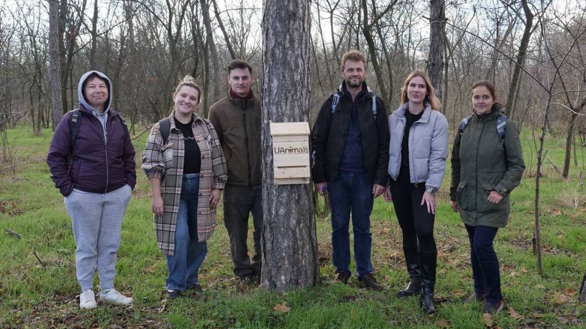 На Хортиці розмістили 22 штучні дерев’яні будиночки для кажанів
