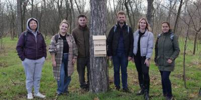 На Хортиці розмістили 22 штучні дерев’яні будиночки для кажанів