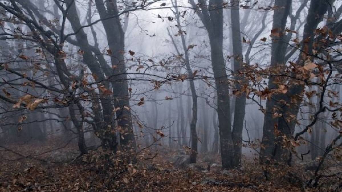 В Україні сьогодні переважно без опадів, вдень до +14°