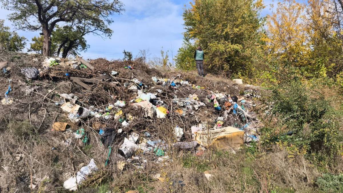 У Заводському районі Запоріжжя зафіксовано несанкціоноване звалище