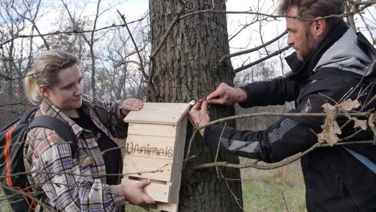 На Хортиці встановили 22 “гуртожитки” для кажанів