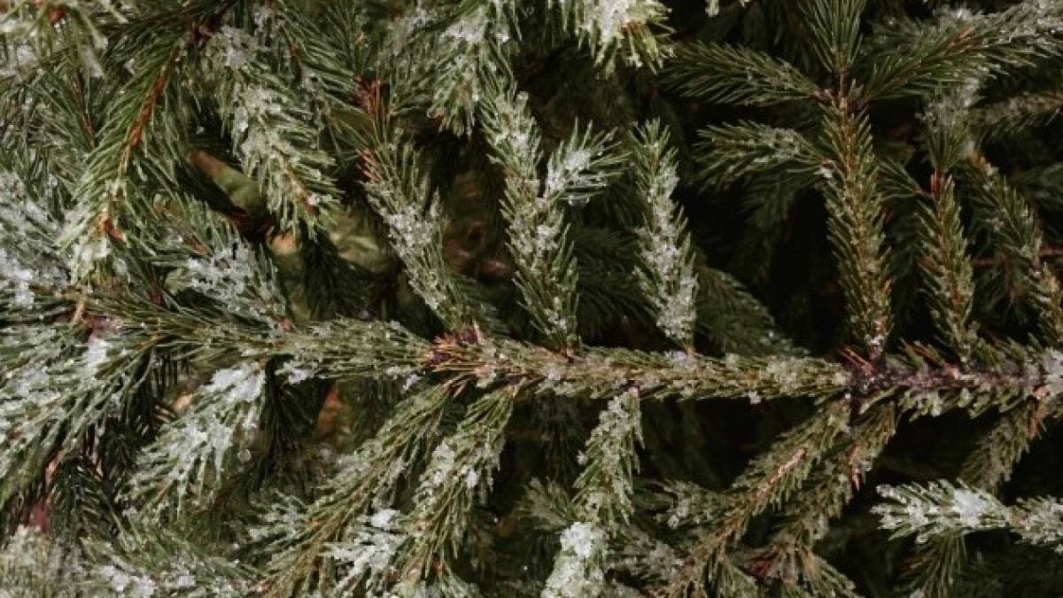 Сьогодні в Україні дощі та мокрий сніг,  удень — до +18°