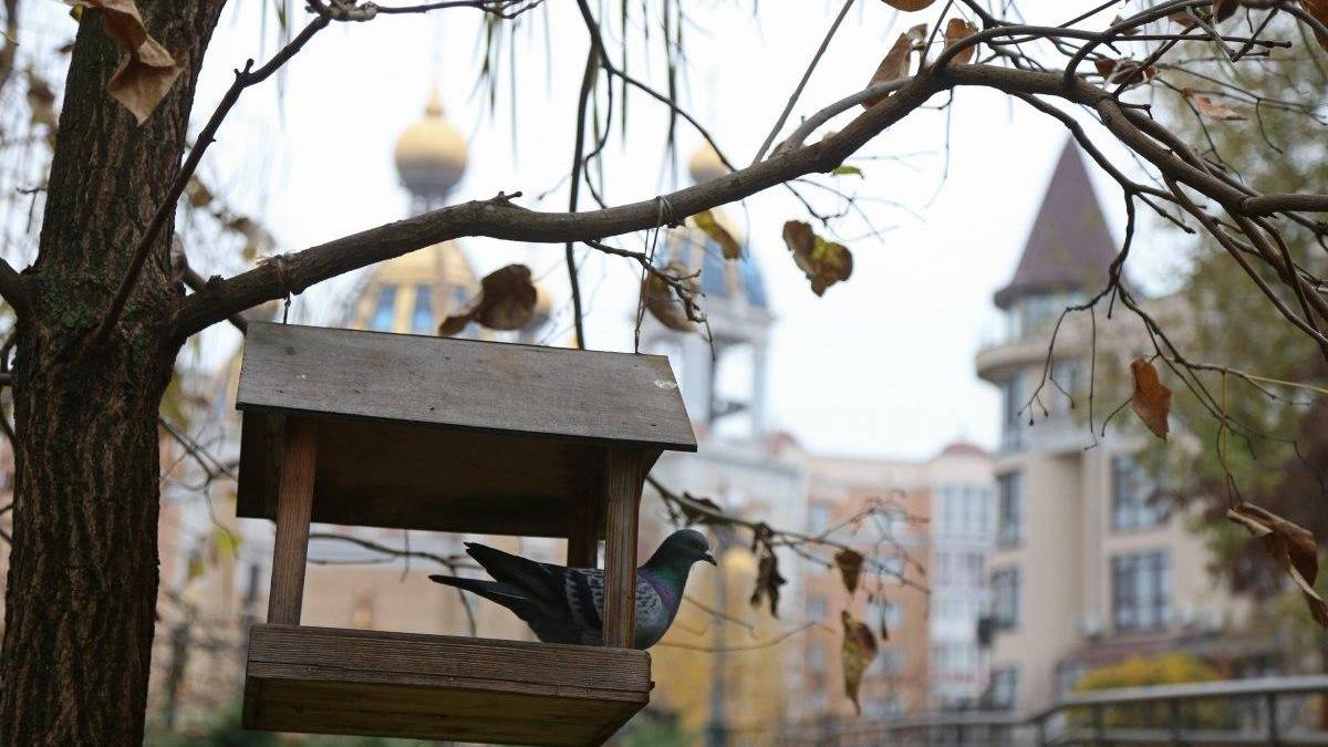 Сьогодні в Україні — дощ та сніг: де очікувати негоду